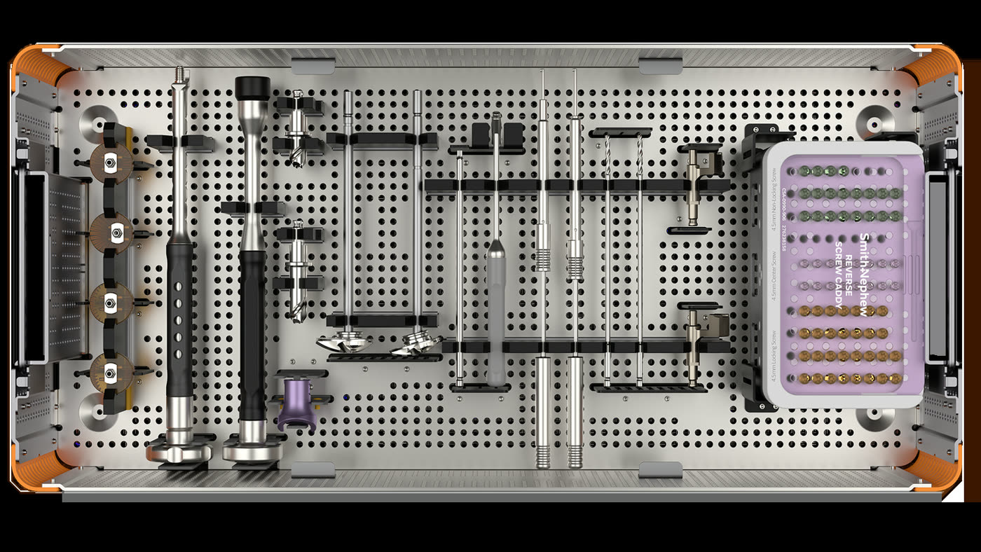 Interactive Anatomy Explorer | Design A Fixture